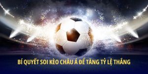 bi-quyet-soi-cau-de-chien-thang-tai-keo-chau-a-king33