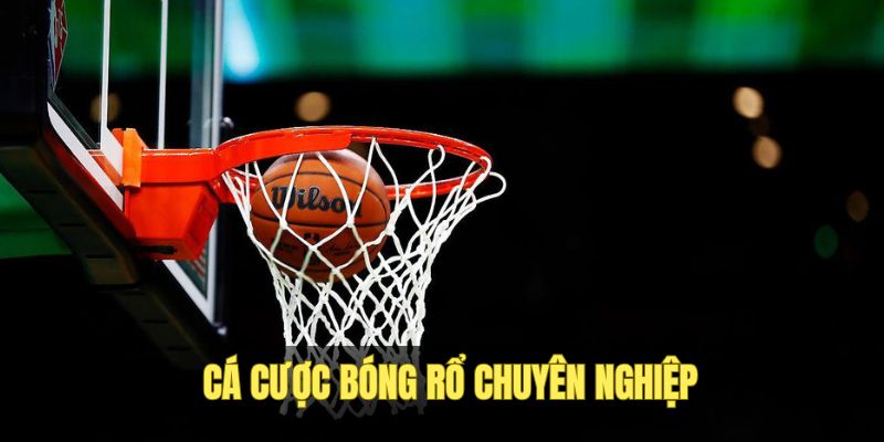 Thể Thao VIPWIN - Cá Cược Minh Bạch, Cam Kết Kèo Thơm 2 Sản phẩm cá cược bóng rổ đặc sắc