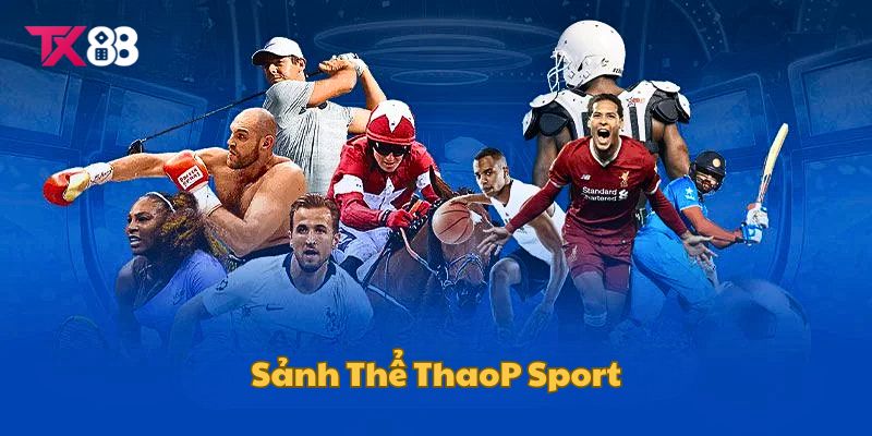 Thể Thao TX88 - Sảnh Cược Sôi Động, Thắng Lớn Đầy Hấp Dẫn 2 Sảnh P Sport tại sân chơi thể thao TX88