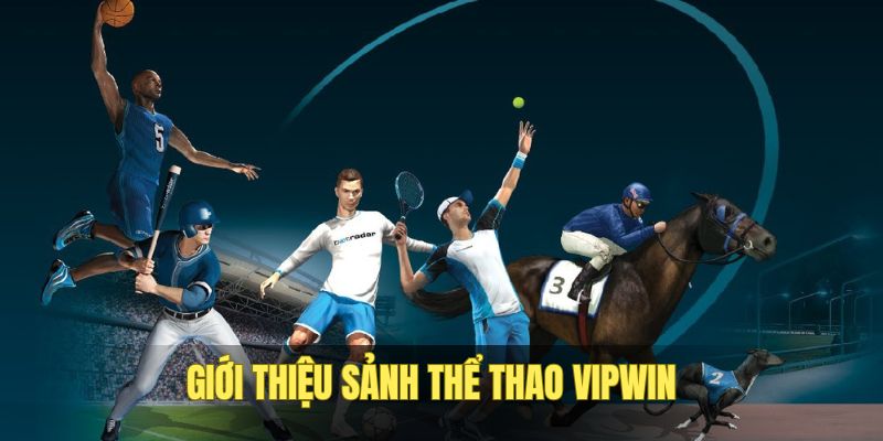 Thể thao VIPWIN là sảnh uy tín lâu năm