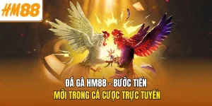 Đá Gà HM88 – Bước Tiến Mới Trong Cá Cược Trực Tuyến 2 Đá Gà HM88 – Bước Tiến Mới Trong Cá Cược Trực Tuyến