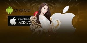 mm99-app-quy-trinh